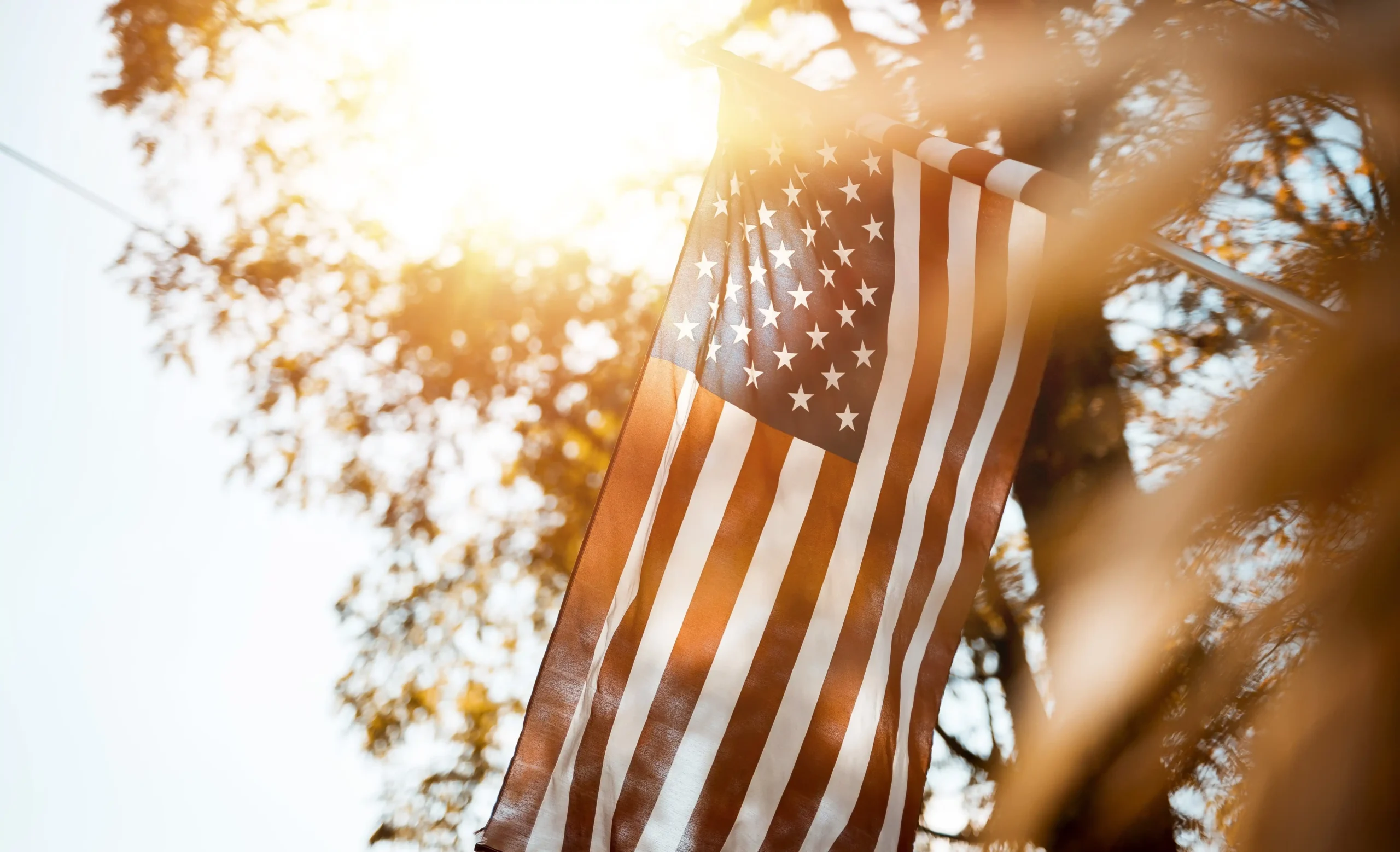 Payer 0% d’impôts avec sa LLC USA